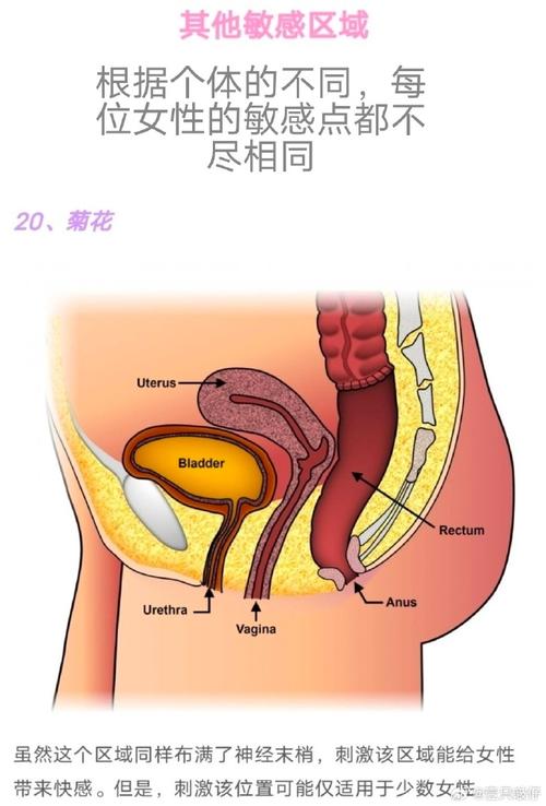 情感专家解析：女性身体3大科学敏感区与亲密关系升温技巧（附权威心理学解读）