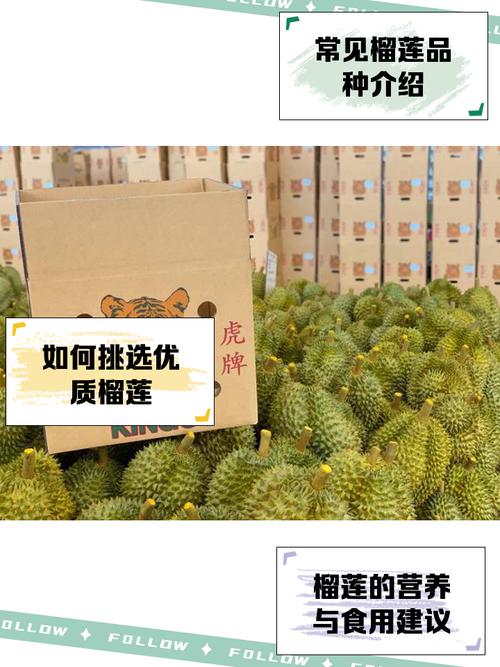 5大免费榴莲绿巨人黑科技解析：揭秘品种优势与种植技巧（附实操指南）