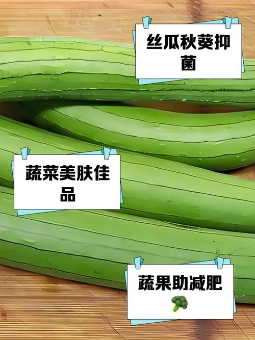 秋葵草莓丝瓜黄瓜绿巨人2025苹果种植全攻略：家庭菜园高效解决方案揭秘