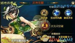 你是否忽略了龙灵觉醒的关键步骤？时空猎人战力翻倍必看攻略