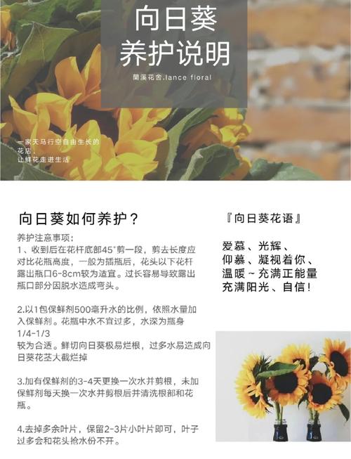 向日葵草莓榴莲丝瓜茄子种植技巧大全:新手必看的高产秘诀与病虫害防治指南 向日葵草莓榴莲丝瓜茄子种植技巧大全:新手必看的高产秘诀与病虫害防治指南