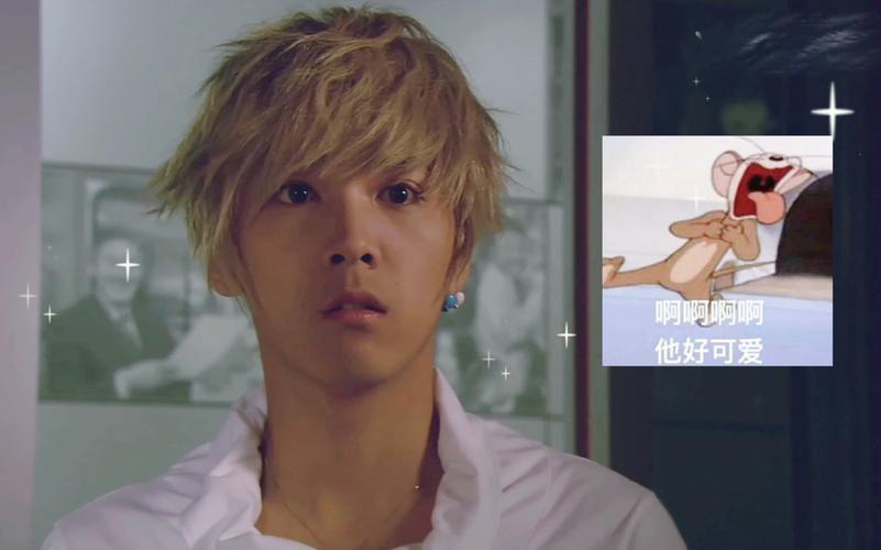 是美男啊韩版 vs 日版:经典翻拍哪一版更值得重温?深度对比角色塑造与剧情差异 是美男啊韩版 vs 日版:经典翻拍哪一版更值得重温?深度对比角色塑造与剧情差异