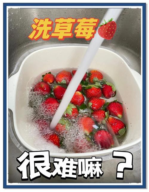 香蕉草莓丝瓜茄子番茄污问题频发？专家揭秘5大种植误区与科学解决方法