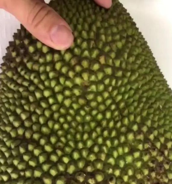 菠萝菠萝蜜在线视频免费观看技巧:高清流畅播放全攻略,解锁隐藏资源 菠萝菠萝蜜在线视频免费观看技巧:高清流畅播放全攻略,解锁隐藏资源