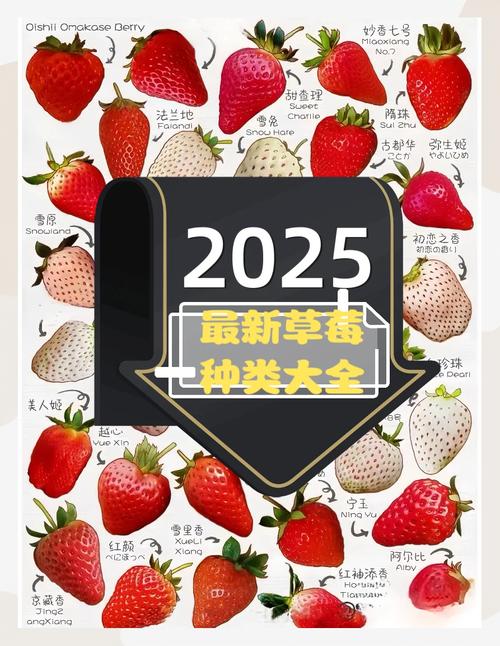 2025年草莓视频高效使用指南:3大实用工具+5个提升用户体验技巧(权威实测) 2025年草莓视频高效使用指南:3大实用工具+5个提升用户体验技巧(权威实测)