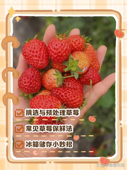 2025年草莓视频高效使用指南:3大实用工具+5个提升用户体验技巧(权威实测) 2025年草莓视频高效使用指南:3大实用工具+5个提升用户体验技巧(权威实测)