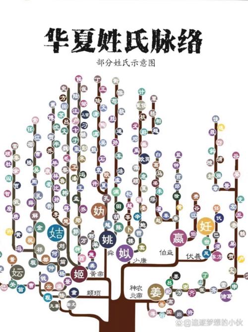 顶楼里的大象完整版深度解析：3个隐藏伏笔+人物关系图谱全揭秘