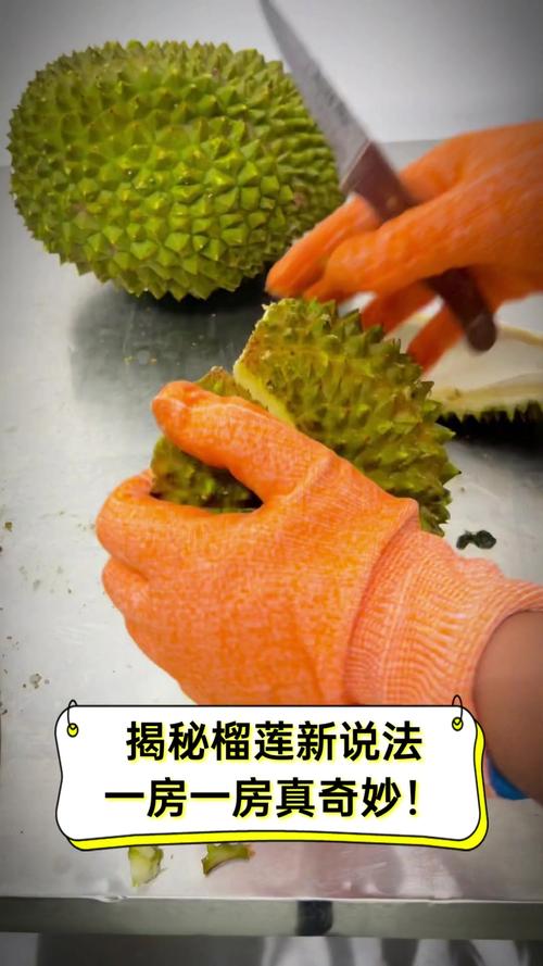 茄子与榴莲的奇妙碰撞:揭秘美食综艺榴莲屋的创意内容生态 茄子与榴莲的奇妙碰撞:揭秘美食综艺榴莲屋的创意内容生态