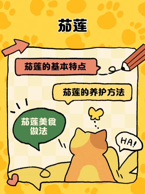 茄子与榴莲的奇妙碰撞:揭秘美食综艺榴莲屋的创意内容生态 茄子与榴莲的奇妙碰撞:揭秘美食综艺榴莲屋的创意内容生态