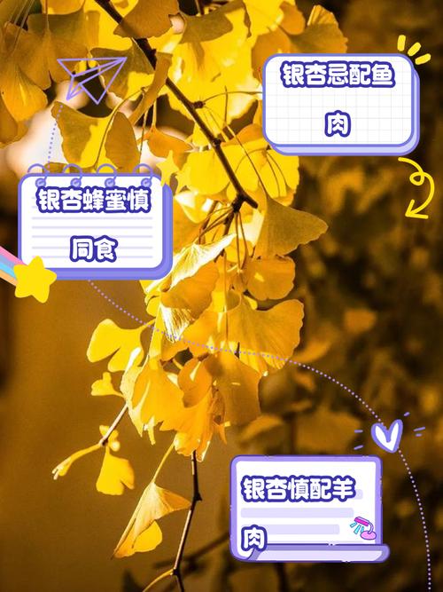 银杏视频yxspyjz的行业突围密码:解析其高效解决方案与内容生态优势 银杏视频yxspyjz的行业突围密码:解析其高效解决方案与内容生态优势