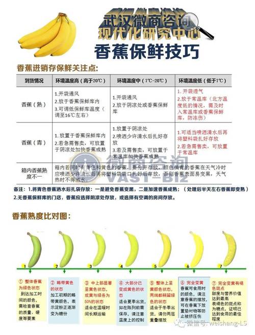 如何安全获取亚洲香蕉免费有线视频?这些技巧你掌握了吗? 如何安全获取亚洲香蕉免费有线视频?这些技巧你掌握了吗?