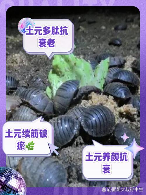 矿草元5大核心功效揭秘:3个正确使用方法让效果翻倍 矿草元5大核心功效揭秘:3个正确使用方法让效果翻倍