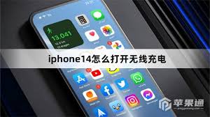 苹果14_Pro无线充电失效必看指南：5步排查法帮你快速恢复高效充电体验