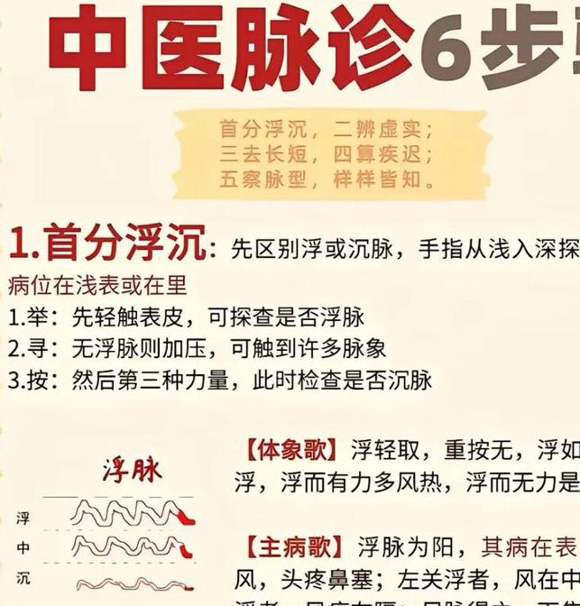 10年从业者亲测:5大断脉隐患急救法,中医专家解析日常预防关键点 10年从业者亲测:5大断脉隐患急救法,中医专家解析日常预防关键点