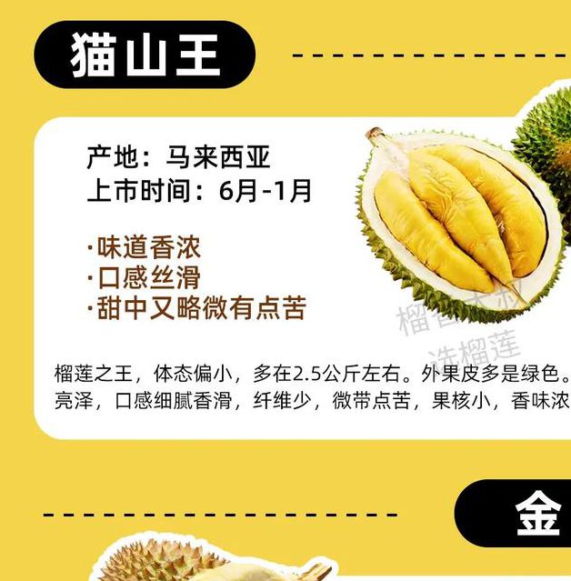 榴莲仙踪林视频在线：揭秘热门品种与正确挑选技巧（高清解析）