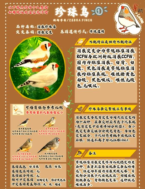 天翼鸟使用副作用频发?揭秘背后隐藏的三大隐患与解决方案 天翼鸟使用副作用频发?揭秘背后隐藏的三大隐患与解决方案