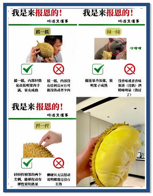 榴莲视频VIP苹果版高效解决方案:如何实现无数次畅享高清资源?深度解析使用技巧与优势 榴莲视频VIP苹果版高效解决方案:如何实现无数次畅享高清资源?深度解析使用技巧与优势