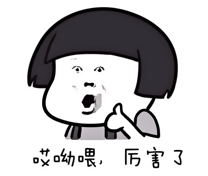 如何选择最适合你的星际护卫舰？解析锆石级双型号核心优势与战术价值