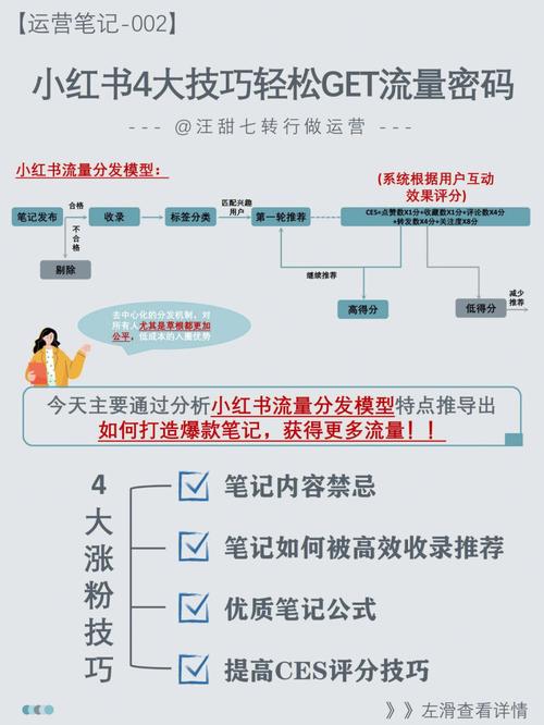 范美妹的流量密码:她如何用3个核心方法让网站排名飙升? 范美妹的流量密码:她如何用3个核心方法让网站排名飙升?