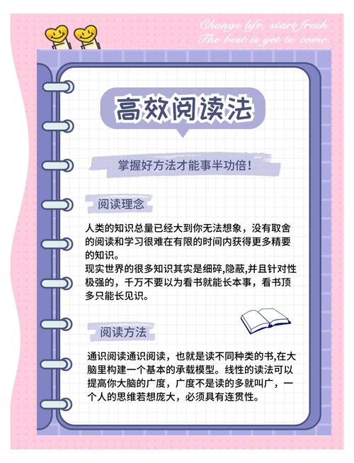 电子书遮天的高效解决方案：如何快速提升阅读体验与搜索排名？