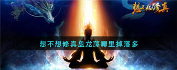掌握盘龙藤高效刷取路线，三天集齐进阶必备资源（附仙界地图攻略与掉落规律解析）