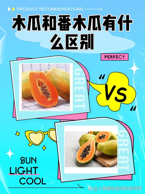 木瓜视频普通版 vs 无限次数版:免费观看全攻略与会员权益深度对比 木瓜视频普通版 vs 无限次数版:免费观看全攻略与会员权益深度对比