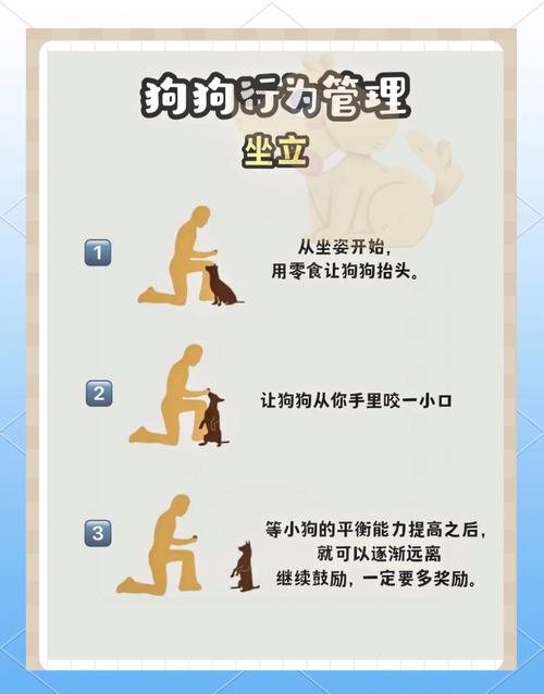 纠正母犬不良行为的10个实用技巧:从服从训练到家庭和谐指南 纠正母犬不良行为的10个实用技巧:从服从训练到家庭和谐指南