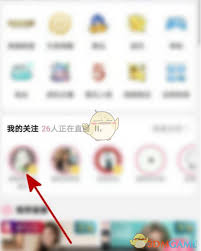 B站直播区实时观众量为何屡创新高？揭秘百万人同时在线的流量密码