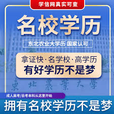 如何快速找到学信网官方登录入口？这三点操作技巧必须掌握