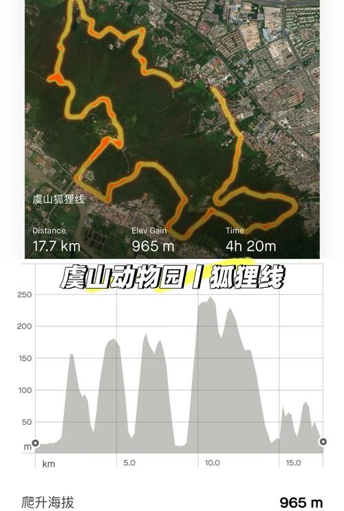 2025小狐狸回家地址：5个精准定位技巧+3大导航工具推荐（附路线规划方案）