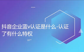 开通抖音蓝V认证每年需要支付多少费用？企业主必看的6大核心价值解析