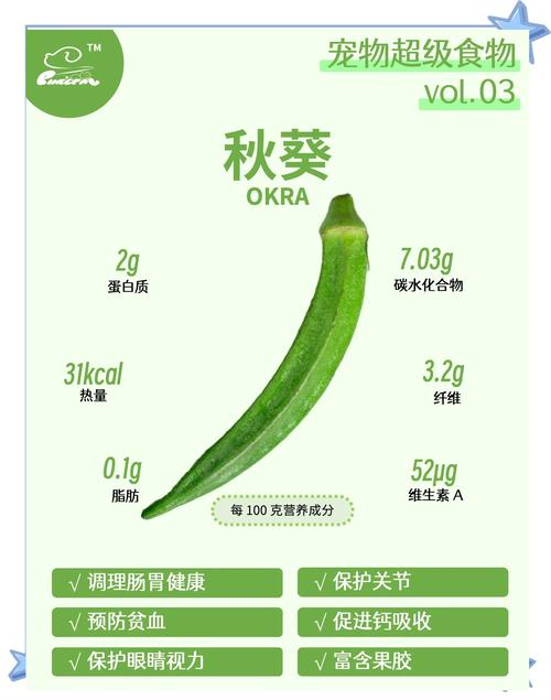 小科秋葵软件在线使用指南:5大核心功能解析与高效操作技巧 小科秋葵软件在线使用指南:5大核心功能解析与高效操作技巧