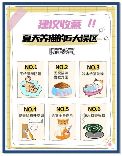 资深铲屎官力荐！猫咪社区在线视频免费版7大隐藏功能与避坑指南