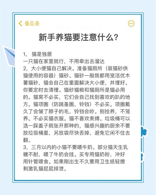 资深铲屎官力荐！猫咪社区在线视频免费版7大隐藏功能与避坑指南