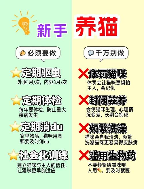 资深铲屎官力荐！猫咪社区在线视频免费版7大隐藏功能与避坑指南