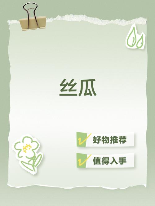 丝瓜草莓视频app使用指南：5大实用技巧+新手必看教程（附高清素材获取攻略）