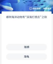 每日解锁海洋奥秘：支付宝神奇海洋11.23知识点解析，助力环保意识提升