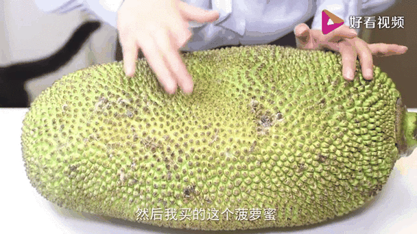 免费线路VS付费专线:菠萝蜜视频国际加速线路究竟哪家强?高清不卡顿实测对比 免费线路VS付费专线:菠萝蜜视频国际加速线路究竟哪家强?高清不卡顿实测对比