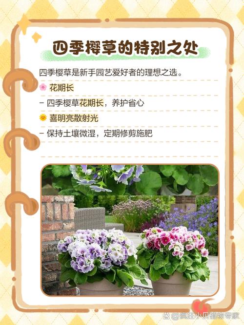 樱花草视频免费版真的安全吗?如何辨别优质资源避免风险? 樱花草视频免费版真的安全吗?如何辨别优质资源避免风险?