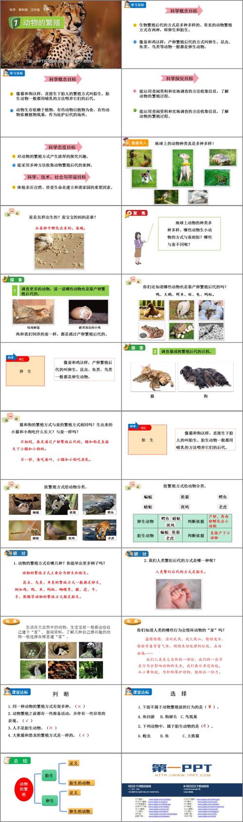 揭秘动物繁殖技术:高清影像如何提升养殖效率与幼崽存活率 揭秘动物繁殖技术:高清影像如何提升养殖效率与幼崽存活率