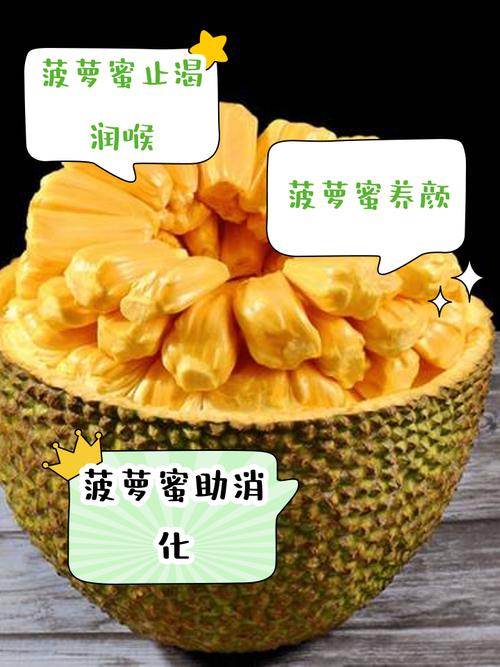 3大技巧轻松获取菠萝菠萝蜜视频手机观看免费版:高清资源+无广告畅享 3大技巧轻松获取菠萝菠萝蜜视频手机观看免费版:高清资源+无广告畅享