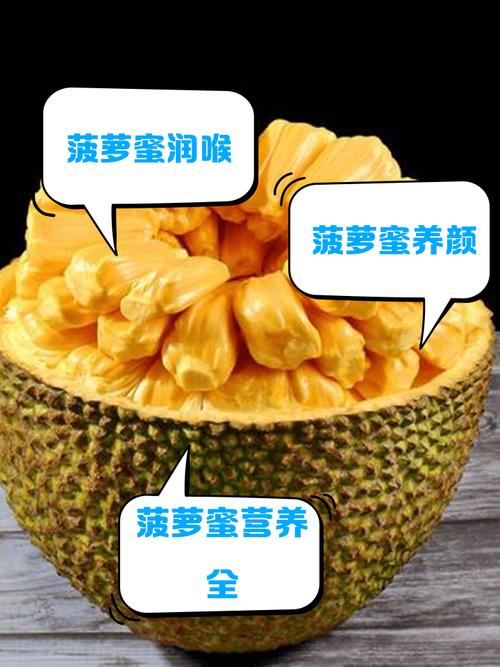 3大技巧轻松获取菠萝菠萝蜜视频手机观看免费版:高清资源+无广告畅享 3大技巧轻松获取菠萝菠萝蜜视频手机观看免费版:高清资源+无广告畅享