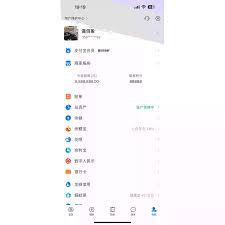 支付宝网页登录隐藏技巧曝光！这个操作竟让账户安全提升300%？