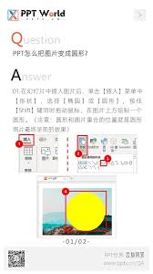 PPT图片秒变圆形的5种神奇技巧，设计师私下都在用！