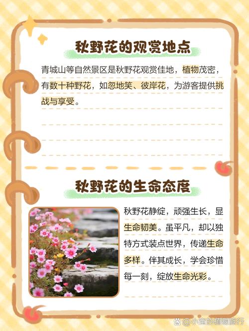 野花社区视频内容生态解析:3大核心优势助力用户深度留存 野花社区视频内容生态解析:3大核心优势助力用户深度留存