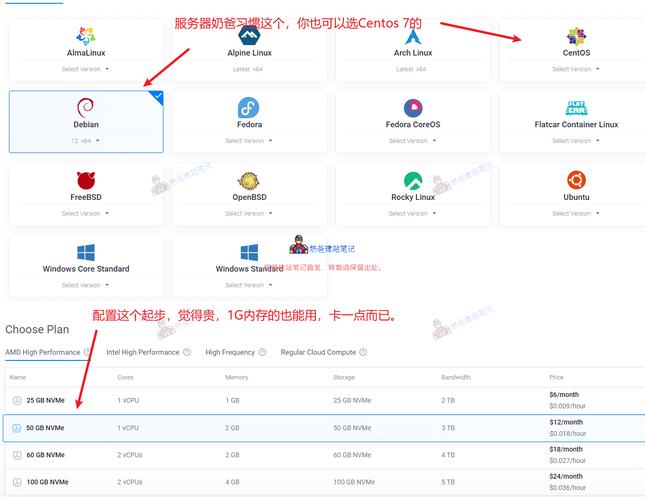 Vultr精品Windows VPS vs 廉价替代方案：哪款更适合中小企业与开发者？