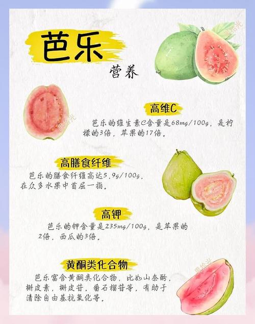 芭乐秋葵茄汁芒果健康饮品食谱：5种搭配提升免疫力与肠道健康