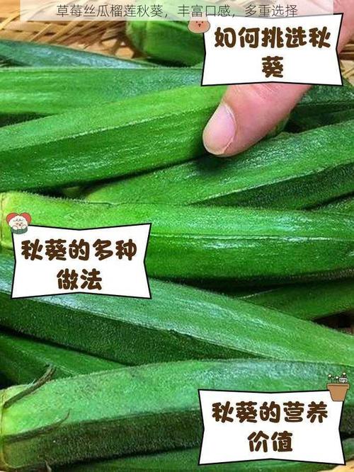 污榴莲丝瓜 vs 草莓秋葵：哪种搭配更营养？实测数据揭秘健康饮食选择