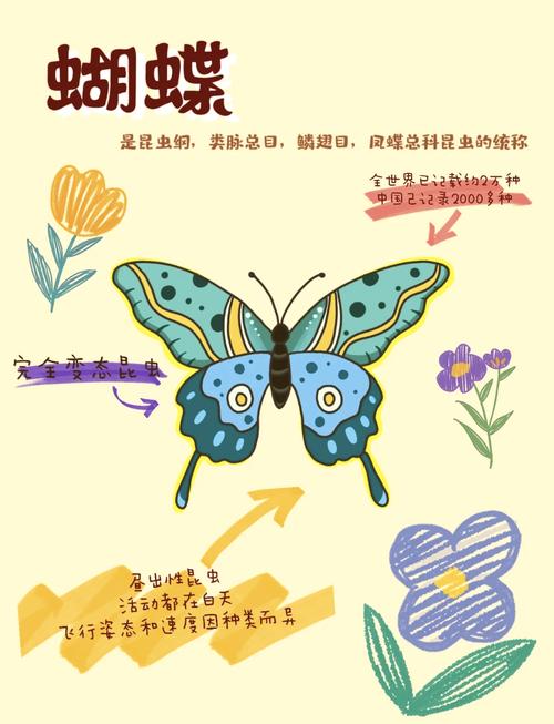 小蝴蝶生态观察指南：揭秘高清纪录片背后的科学拍摄技巧与资源库