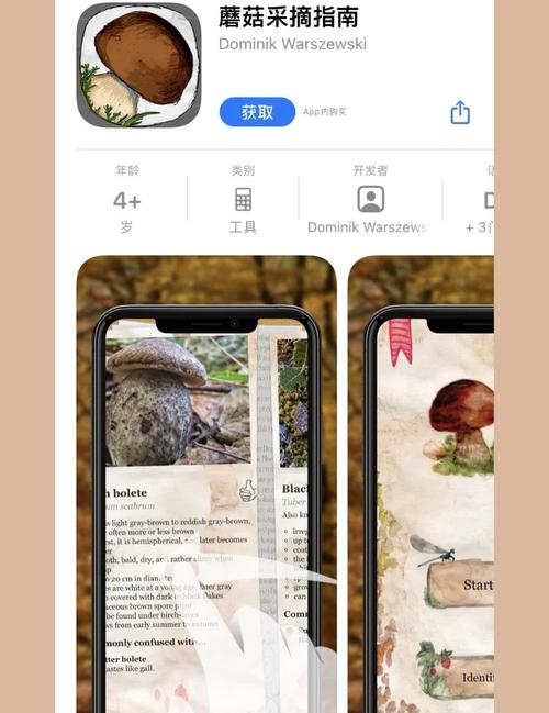 蘑菇视频1.1.1安卓版：5大新功能解析与3分钟快速上手教程（官方正版下载）